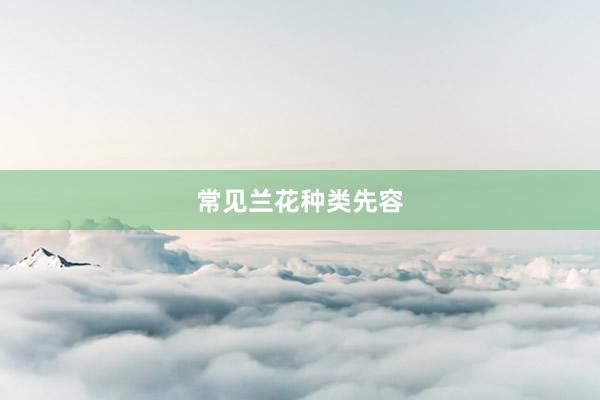 常见兰花种类先容