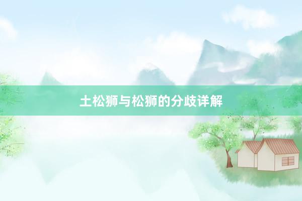 土松狮与松狮的分歧详解